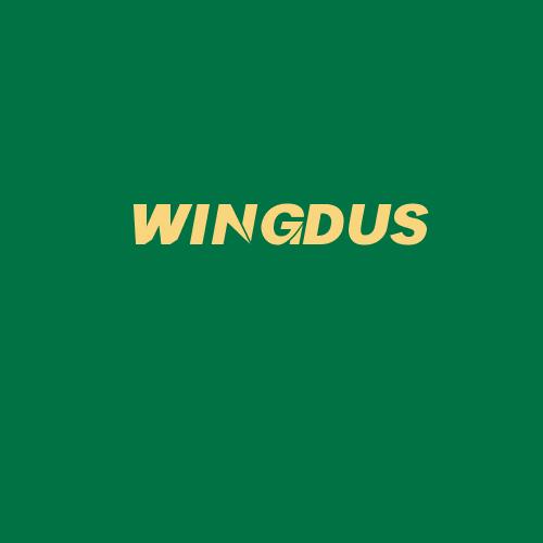 Logo da WINGDUS